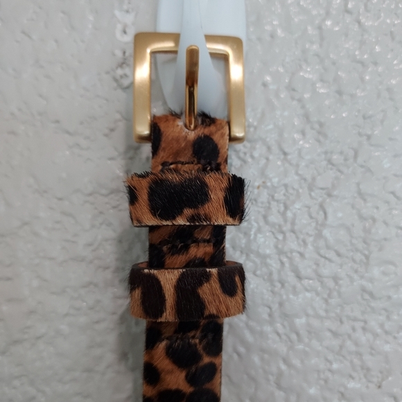 J. Jill Accessories - J. Jill Cheetah Belt Size Large